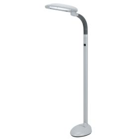 EasyEye Energy Saving Floor Lamp (2-tube)