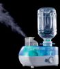 Portable Humidifier with Ionizer