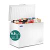 ORIKOOL Chest Freezer 9.9 Cu.ft Solid Top Commercial Deep Chest Freezers with Lockable Stay-Open Lid Painted for Back-of-House Bulk Storage