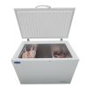 ORIKOOL Chest Freezer 9.9 Cu.ft Solid Top Commercial Deep Chest Freezers with Lockable Stay-Open Lid Painted for Back-of-House Bulk Storage