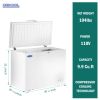 ORIKOOL Chest Freezer 9.9 Cu.ft Solid Top Commercial Deep Chest Freezers with Lockable Stay-Open Lid Painted for Back-of-House Bulk Storage